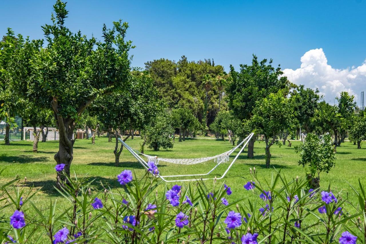 Utopia Resort & Residence Avsallar Kültér fotó